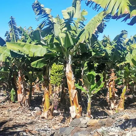 公寓 Araguaney, Finca Jardin Del Rincon *